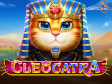 Dragon tiger casino online7